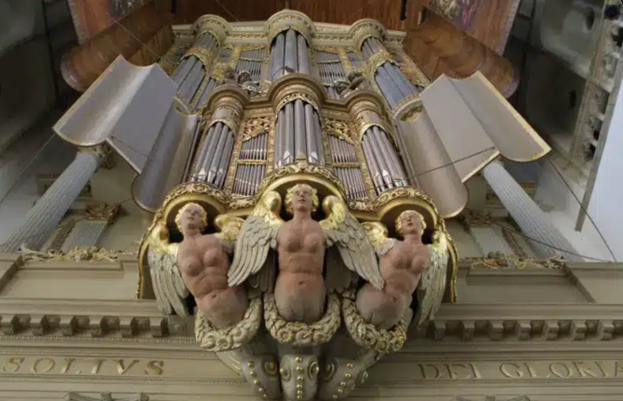 Rondom Bach - za14 feb 2026 in Grote Kerk, Alkmaar - Concertcheck.nl